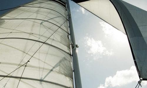 Why Bird Netting is Essential for Your Pune Home